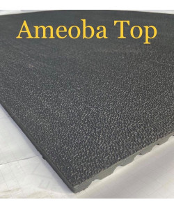 Rainbow-Horse/Stable...