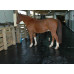 Rubber Stable /Horse Hammer Top -Pony/Gym/Garage- Mats  Size- 6X4ftX12mm, 6X4ftX14mm, 6X4ftX16mm, 6X4ftX17mm